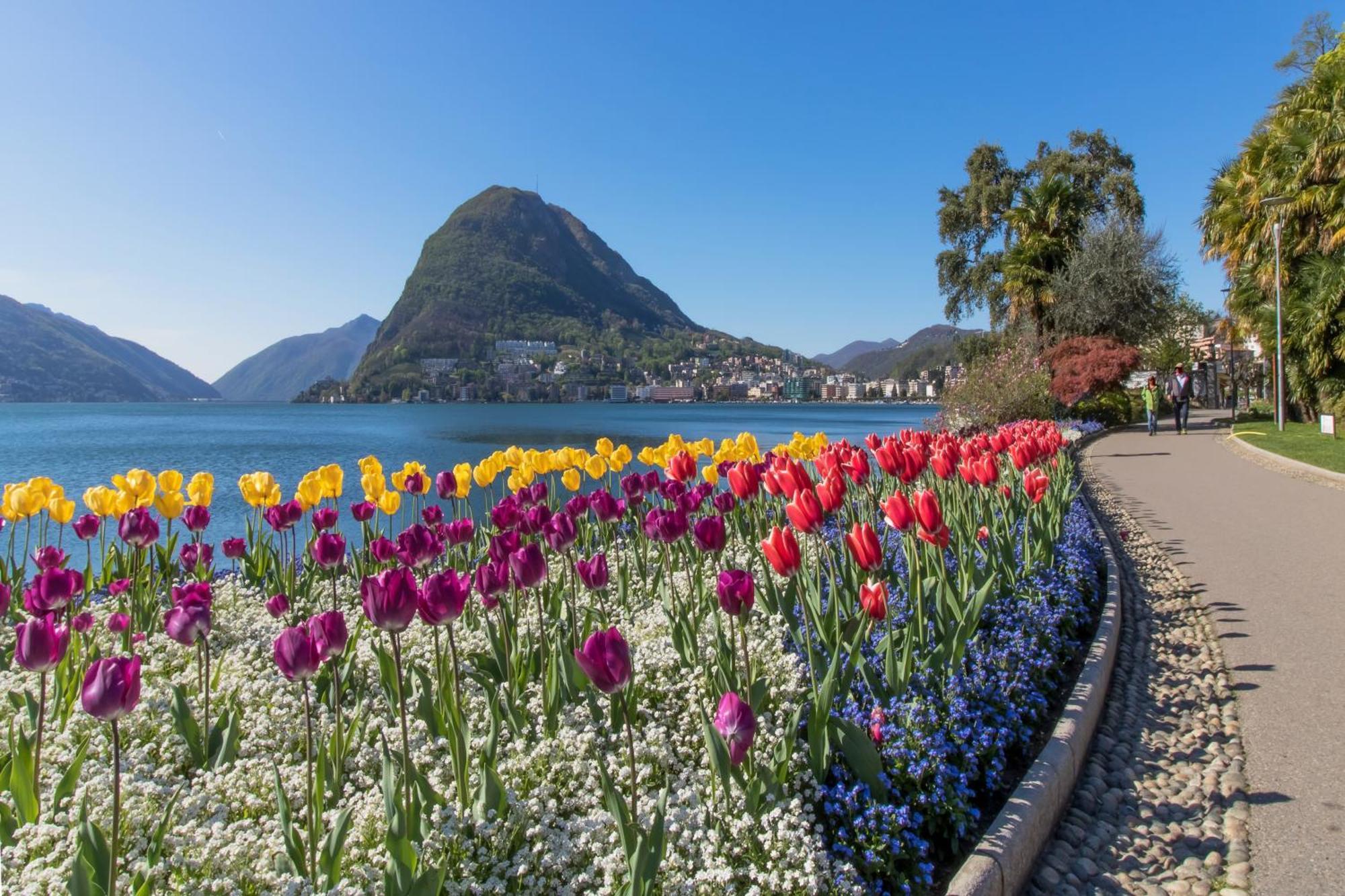 Love Of Lugano - Happy Rentals Kültér fotó